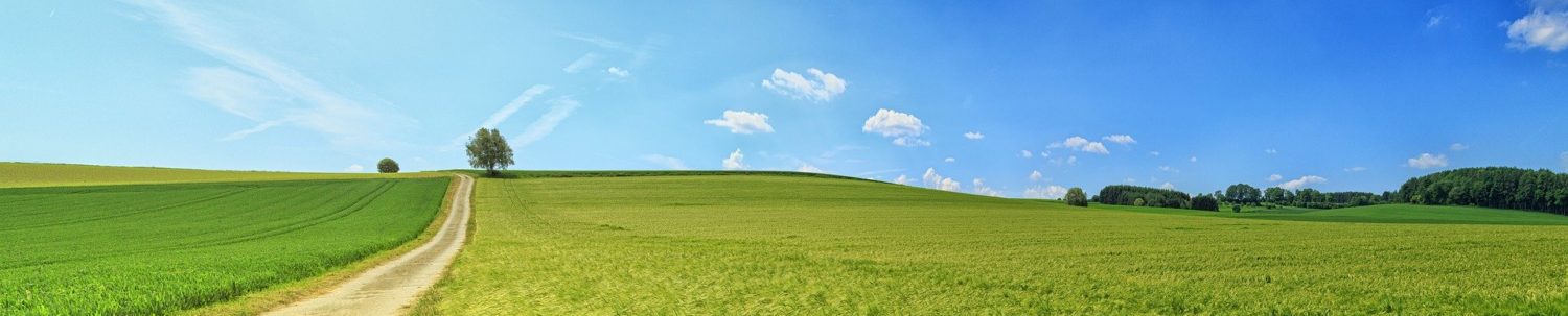 Notaría de Alcafrán